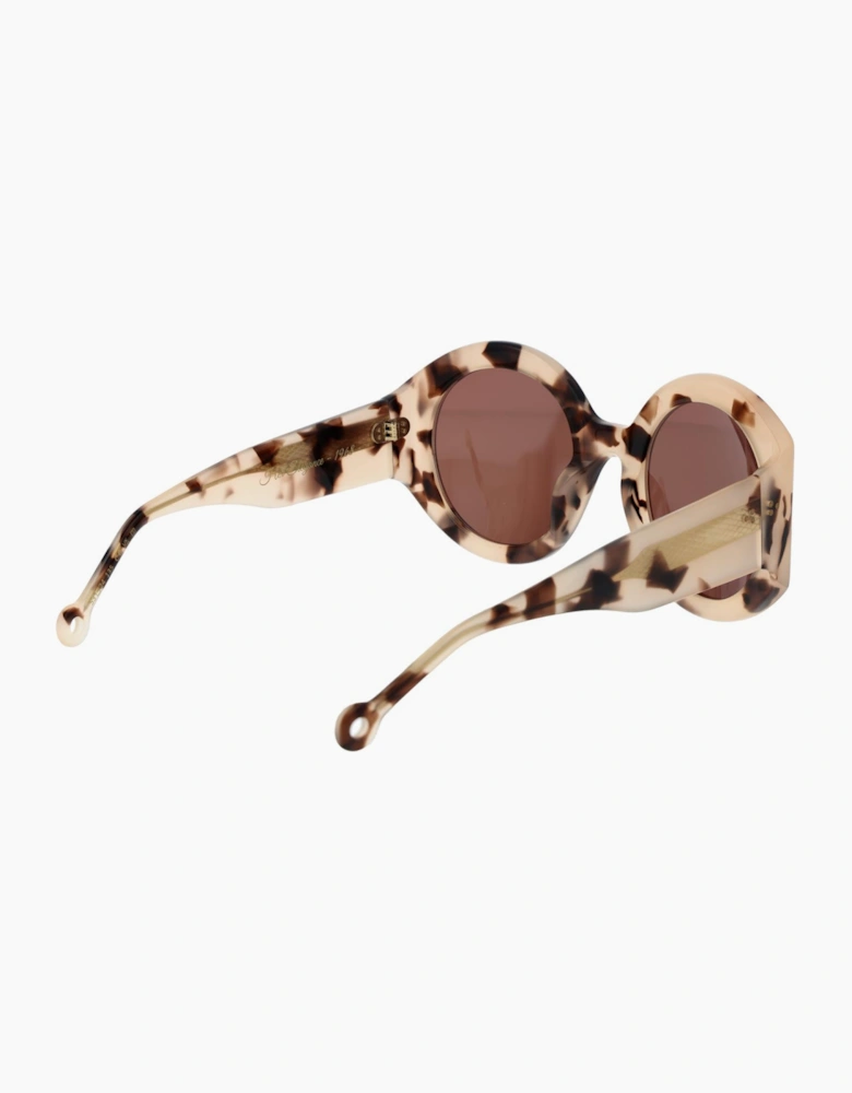 Hally & Son Sunglasses HS936S04 04 53