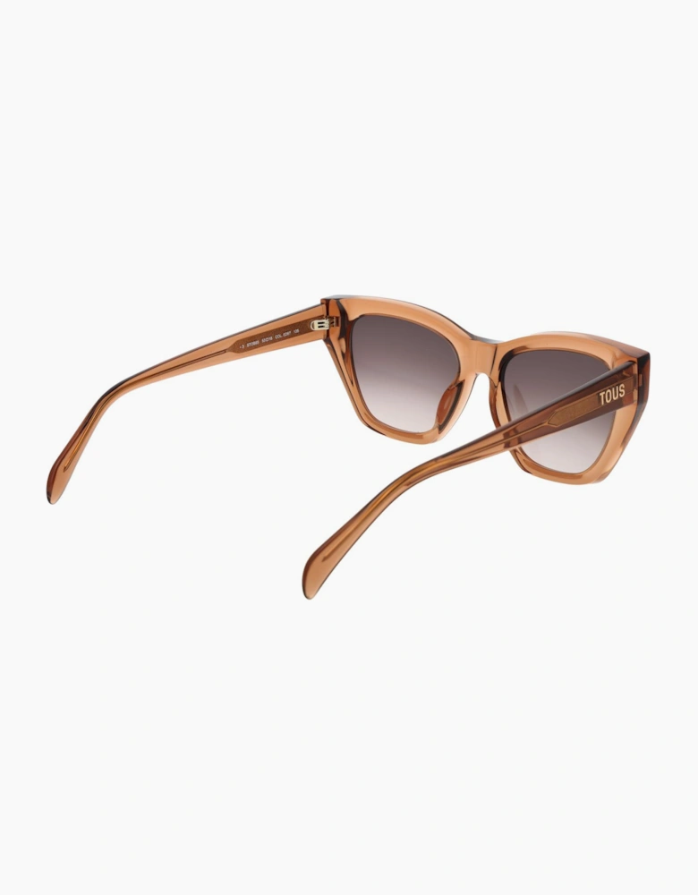 Tous Sunglasses STOB85 0D67 53
