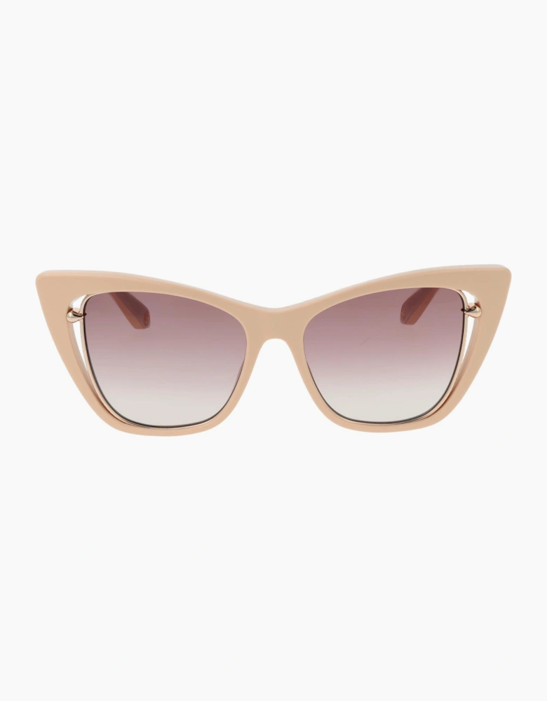 Roberto Cavalli Sunglasses SRC033M 06K6 53