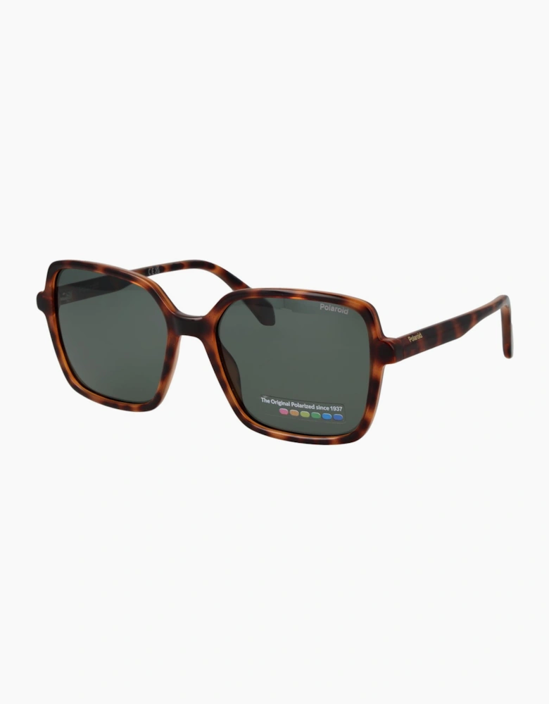 Polaroid Sunglasses PLD 4217/S 086UC 56