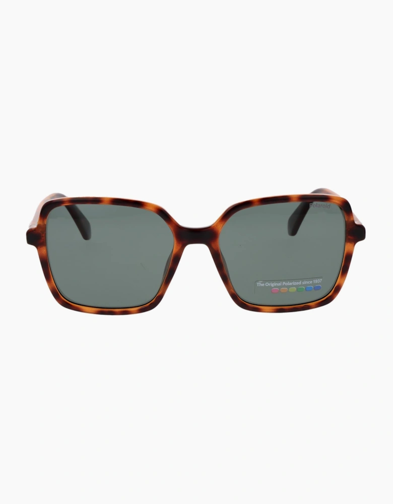 Polaroid Sunglasses PLD 4217/S 086UC 56