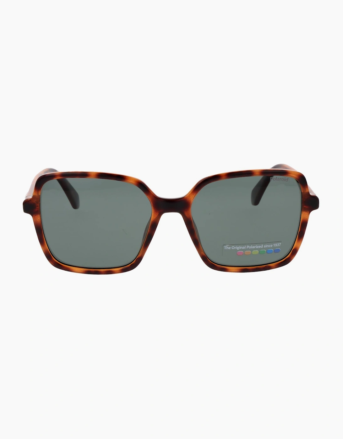 Polaroid Sunglasses PLD 4217/S 086UC 56