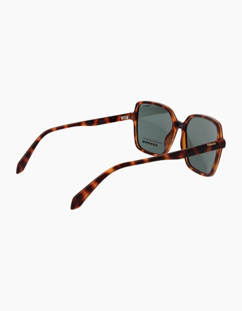 Polaroid Sunglasses PLD 4217/S 086UC 56