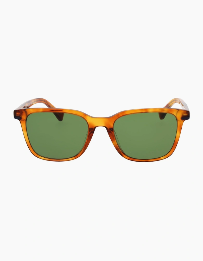 Replay Sunglasses RY488V 03S 52