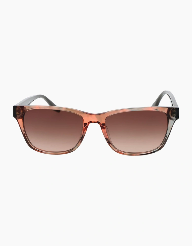 Converse Sunglasses CV535S 281 54 All Star