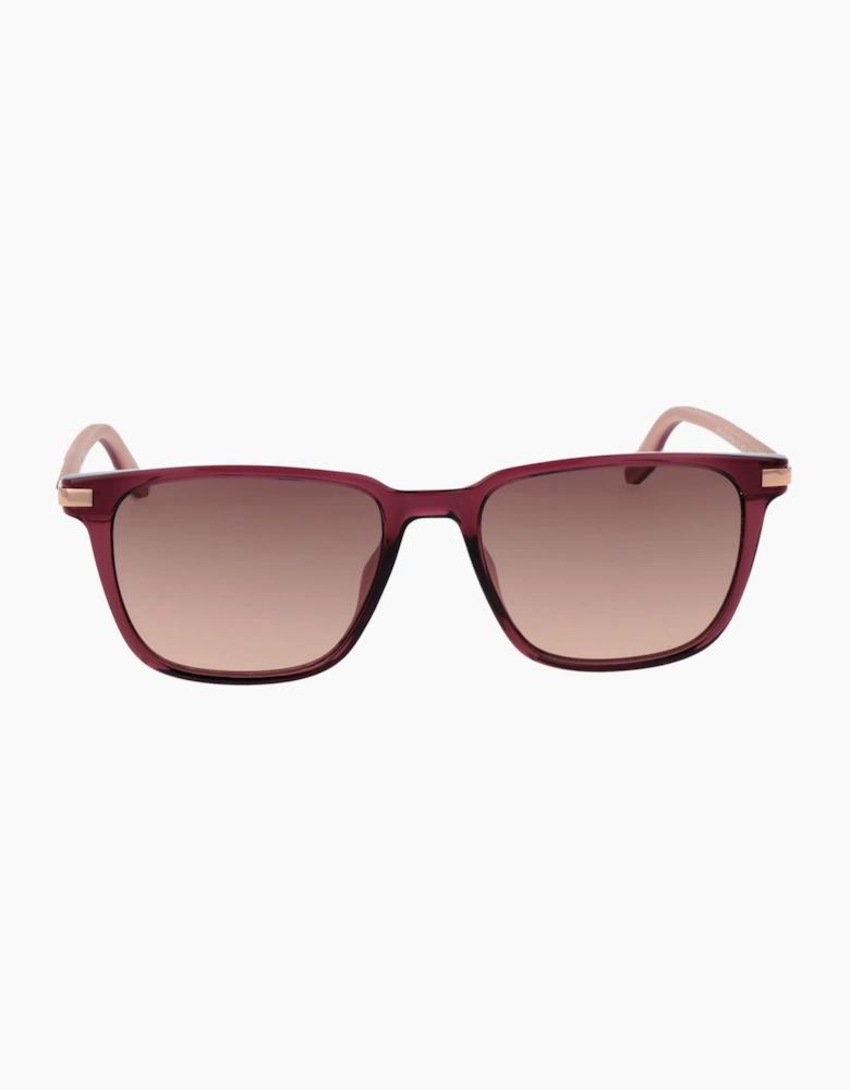 Converse Sunglasses CV543S 612 54 North End