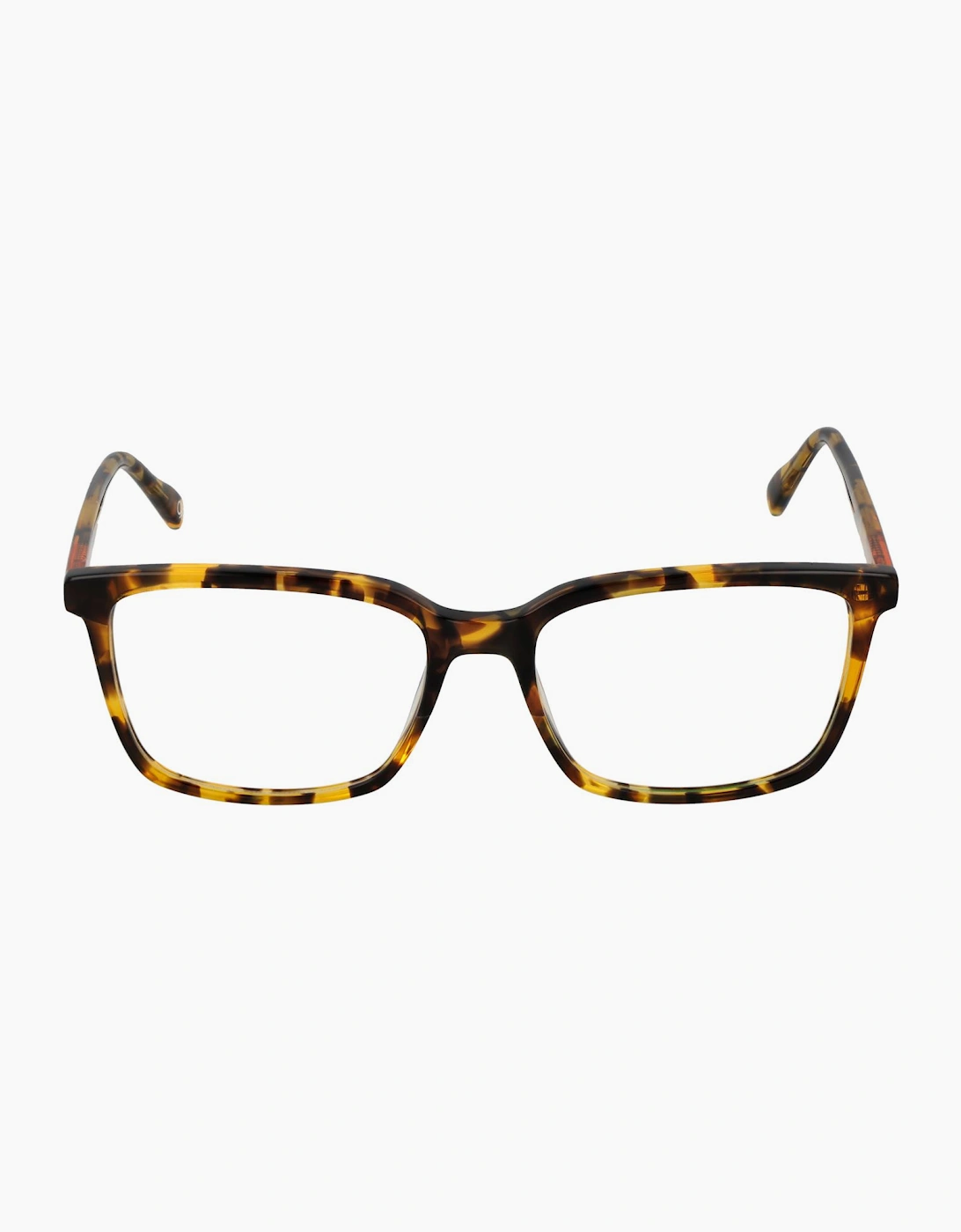 Benetton Optical Frame BEO109 103 55