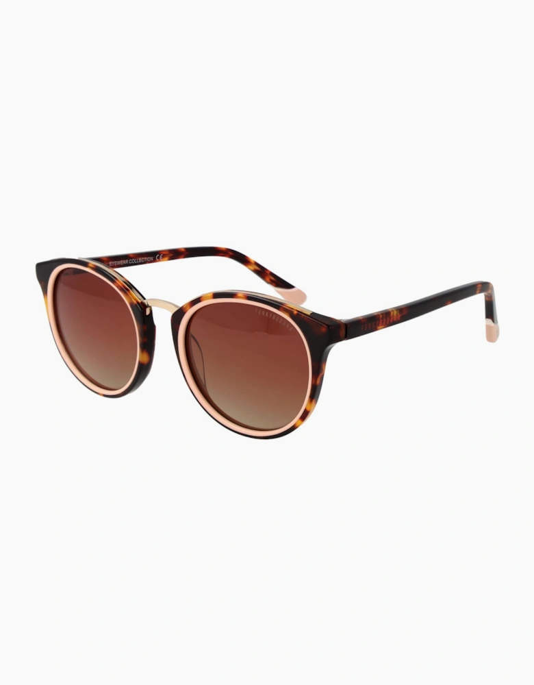 Funky Buddha Sunglasses FBS2046 001 51