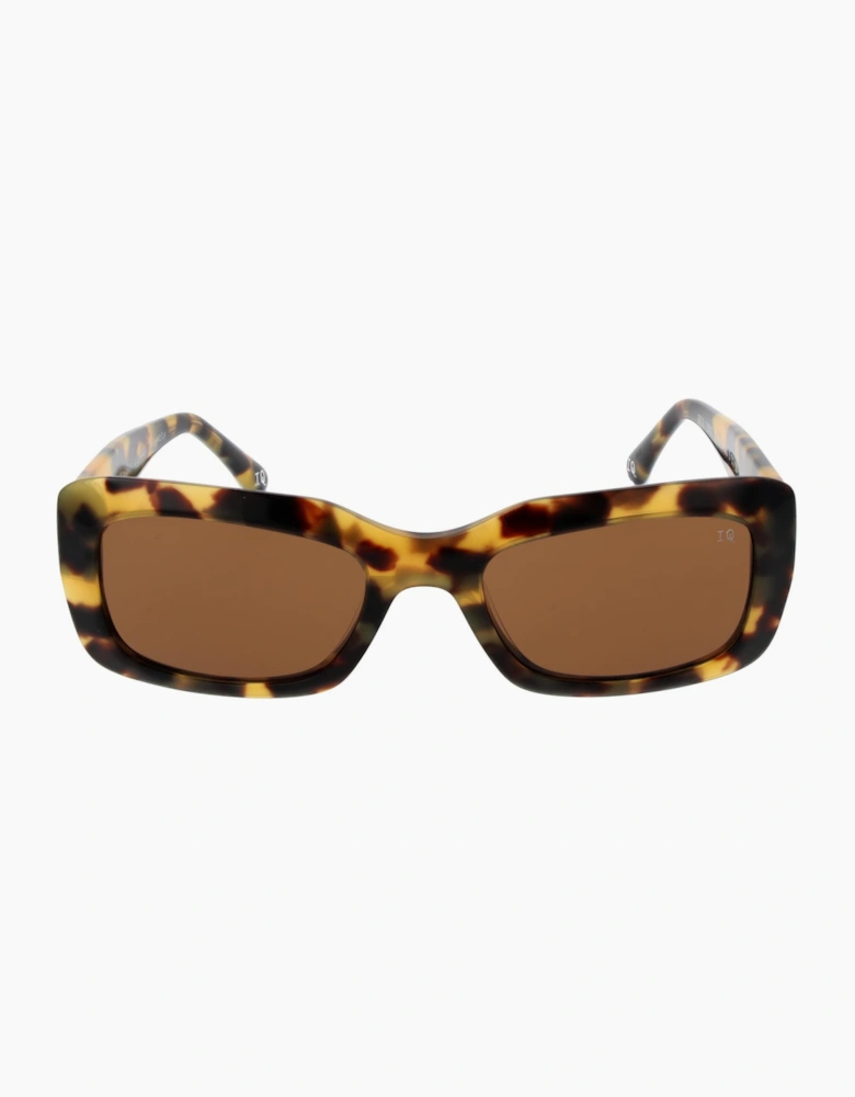 Botaniq Sunglasses BIS-7002 102 52