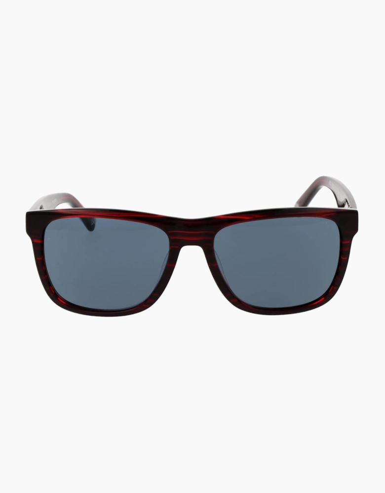 Botaniq Sunglasses BIS-7015 160 56