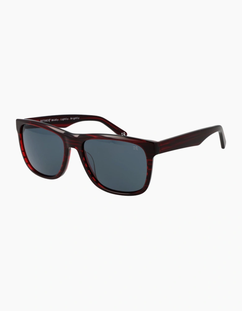 Botaniq Sunglasses BIS-7015 160 56