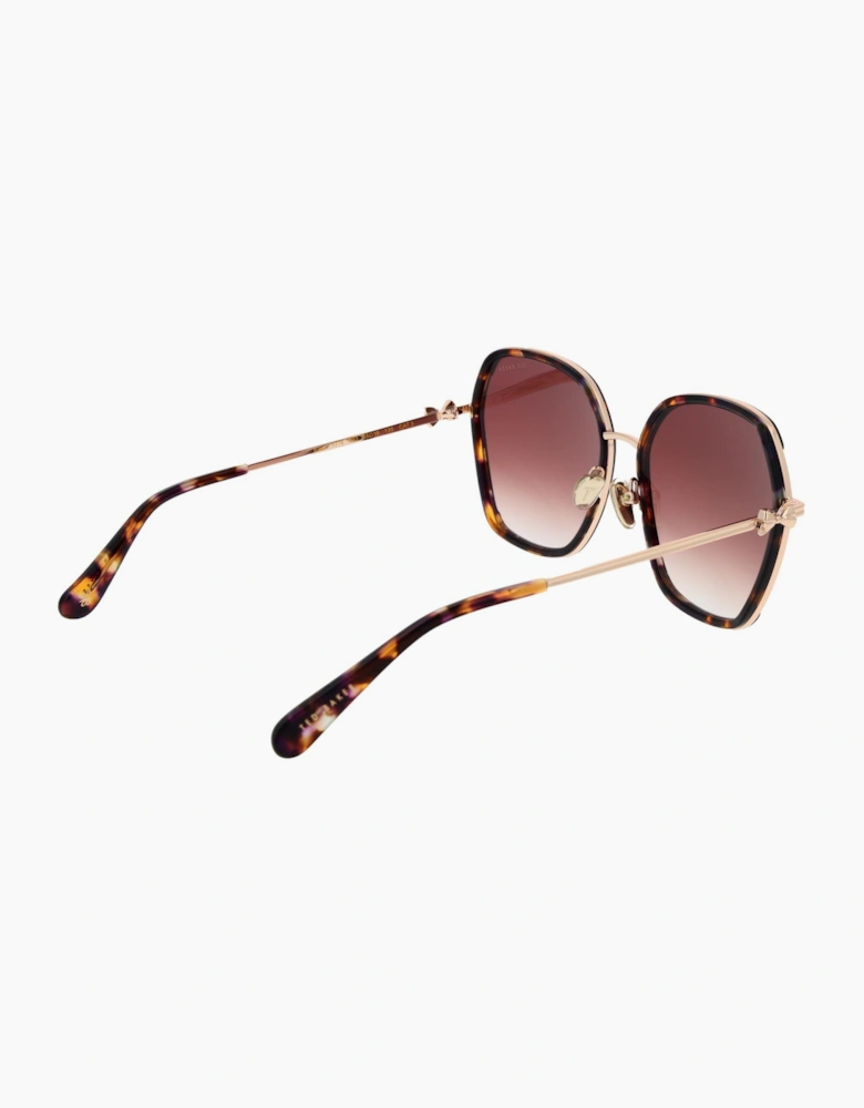 Ted Baker Sunglasses TB1776 703 58