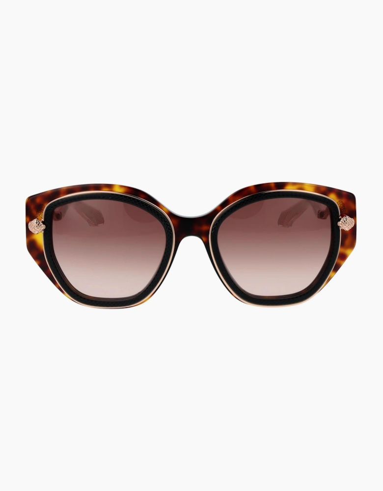 Roberto Cavalli Sunglasses SRC096M 09TC 52