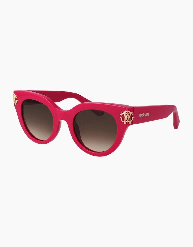 Roberto Cavalli Sunglasses SRC065M 09M3 50