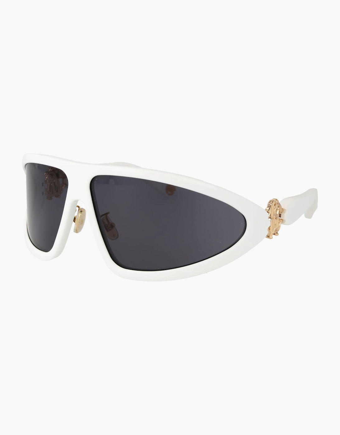 Roberto Cavalli Sunglasses SRC042 04AO 79