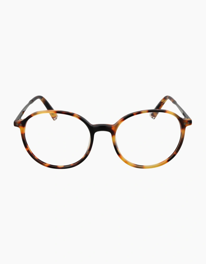 Taylor Morris Optical Frame SW1 C3 51