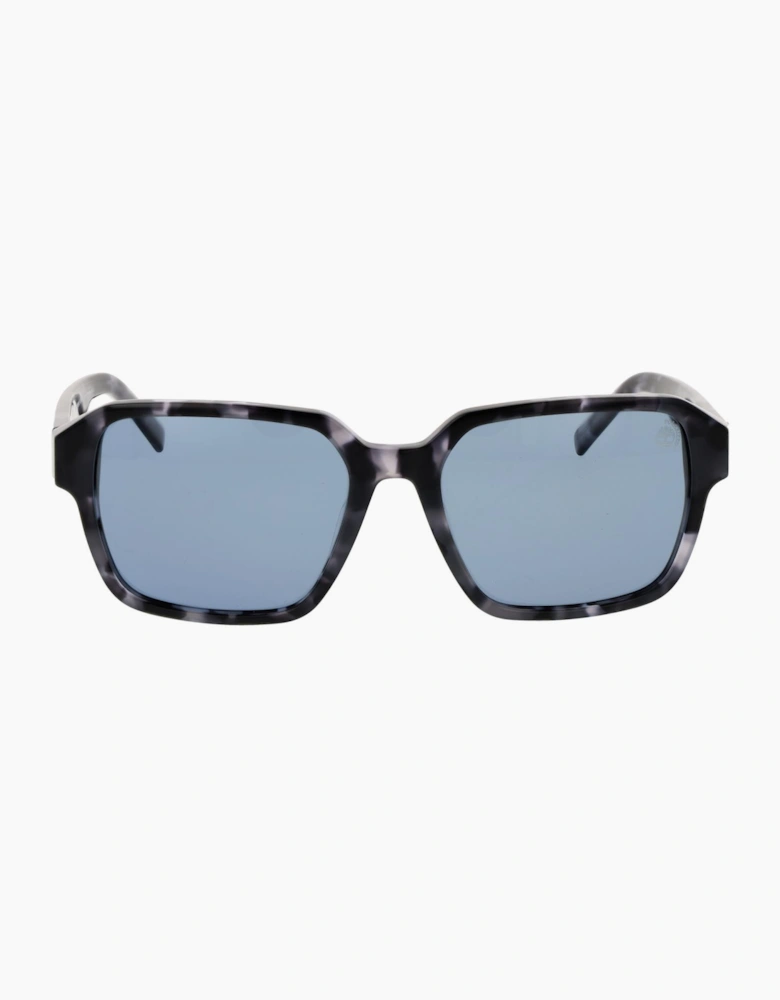 Timberland Sunglasses TB00043 52D 56