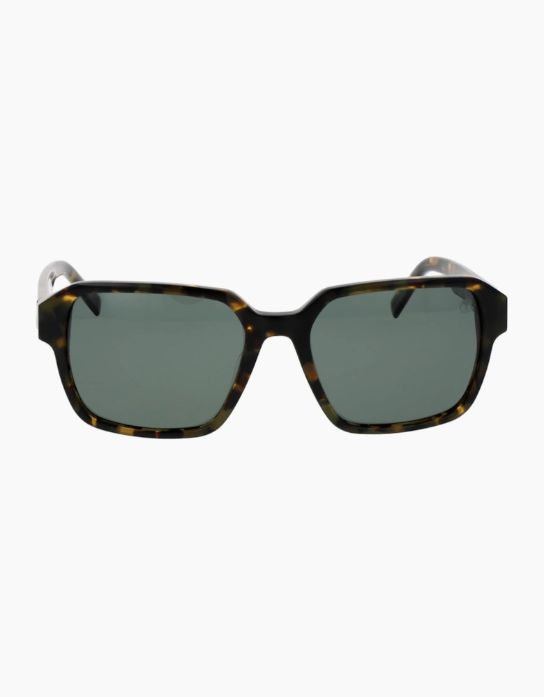 Timberland Sunglasses TB00043 55R 56