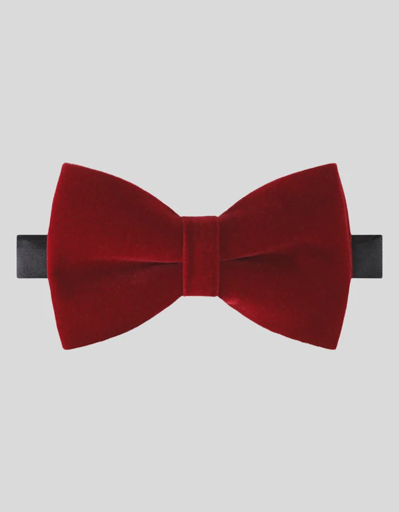 Sophos Dusk Velvet Bow Tie - Wine