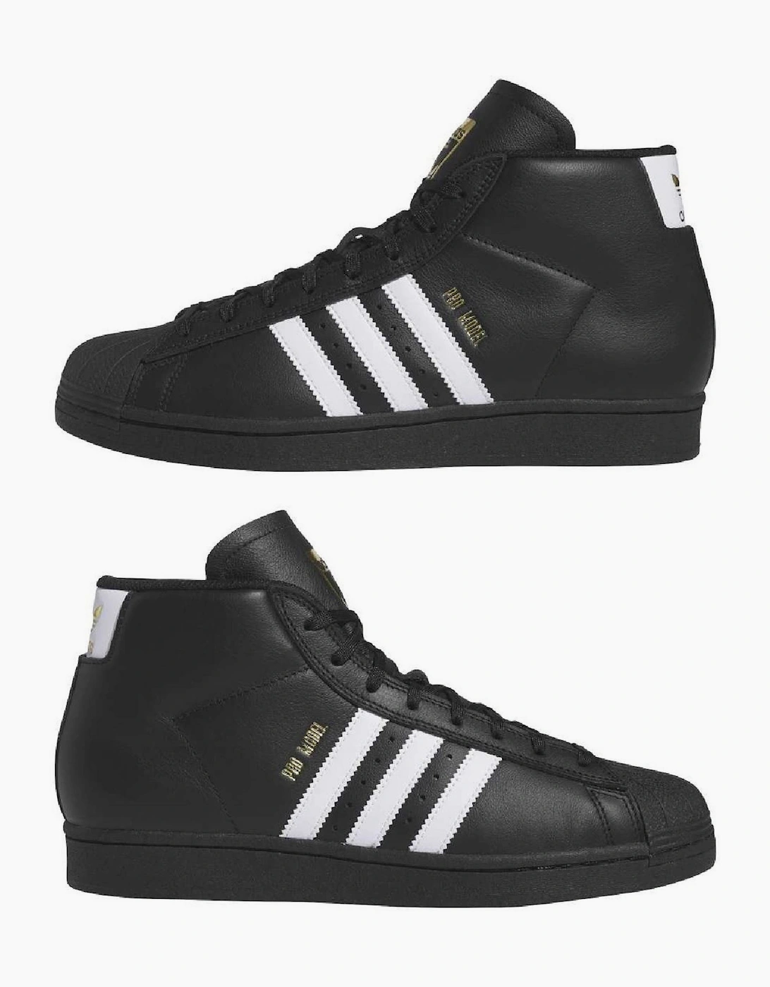 Pro Model Adv