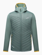 Dark Forest Green