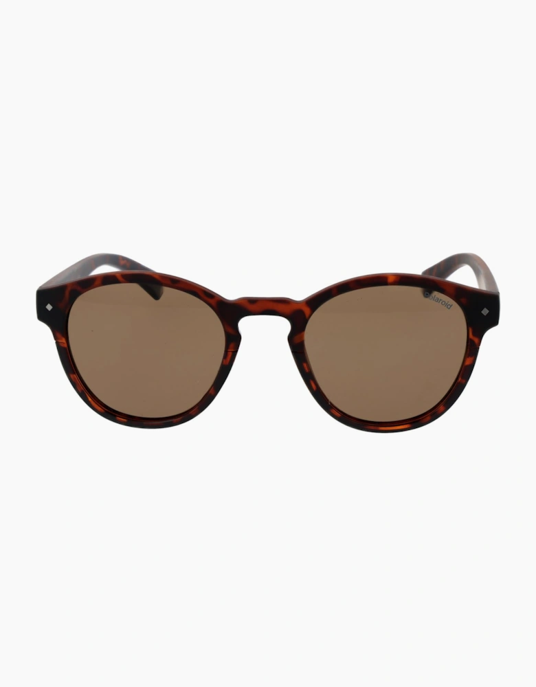 Polaroid Sunglasses PLD 6042/S 086SP 49