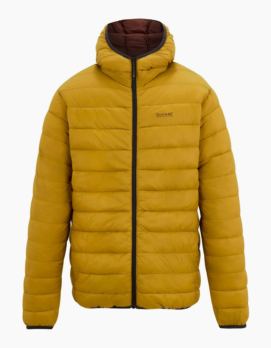 Men's Regatta Mens Marizion Baffled Hooded Padded Jacket - Brown - Size: 38/Regular