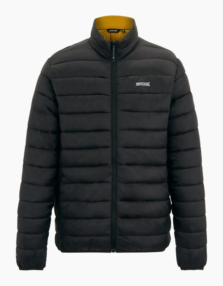 Regatta Mens Marizion Padded Jacket