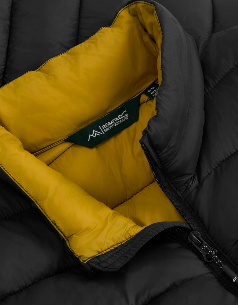 Regatta Mens Marizion Padded Jacket