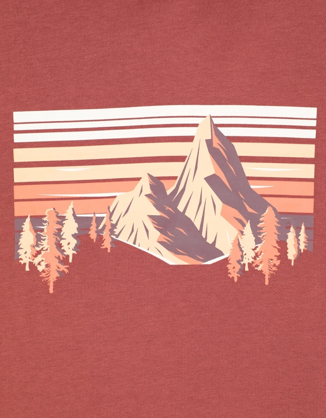 Mountain Warehouse Mens Mountain Scene Hoodie