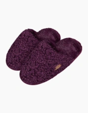 Aubergine