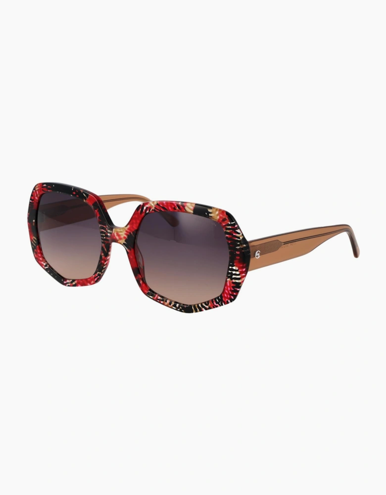 Comma Sunglasses 77194 73 55