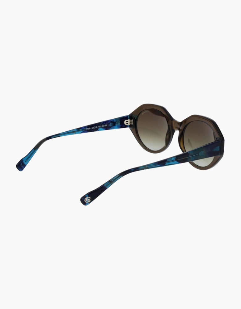 Comma Sunglasses 77195 64 53
