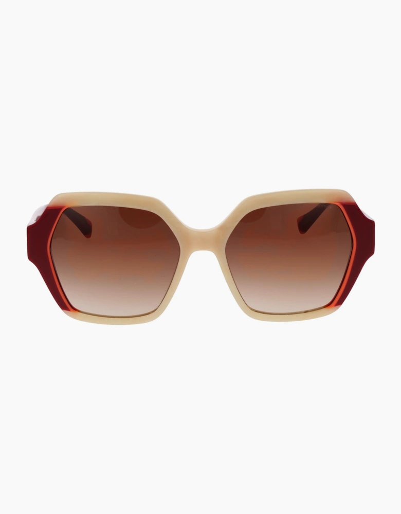 Comma Sunglasses 77223 67 55