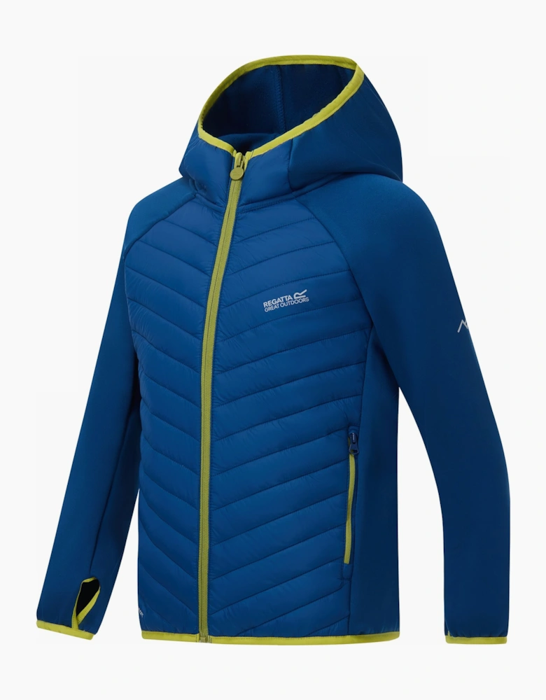 Regatta Childrens/Kids Andreson Hybrid Padded Jacket