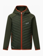 Dark Khaki