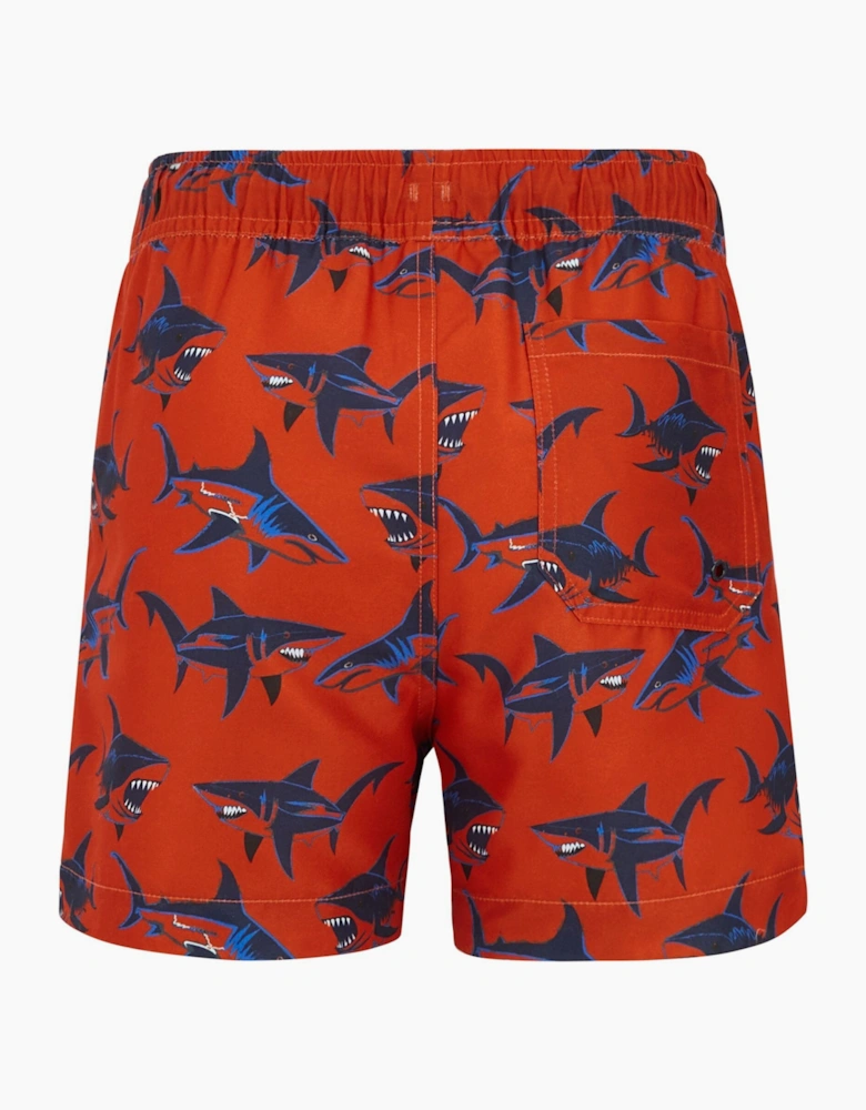 Regatta Childrens/Kids Skander Swim Shorts
