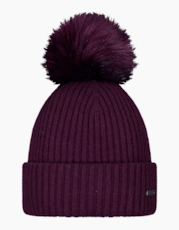 Aubergine