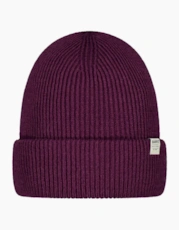 Aubergine