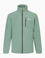Dark Forest Green