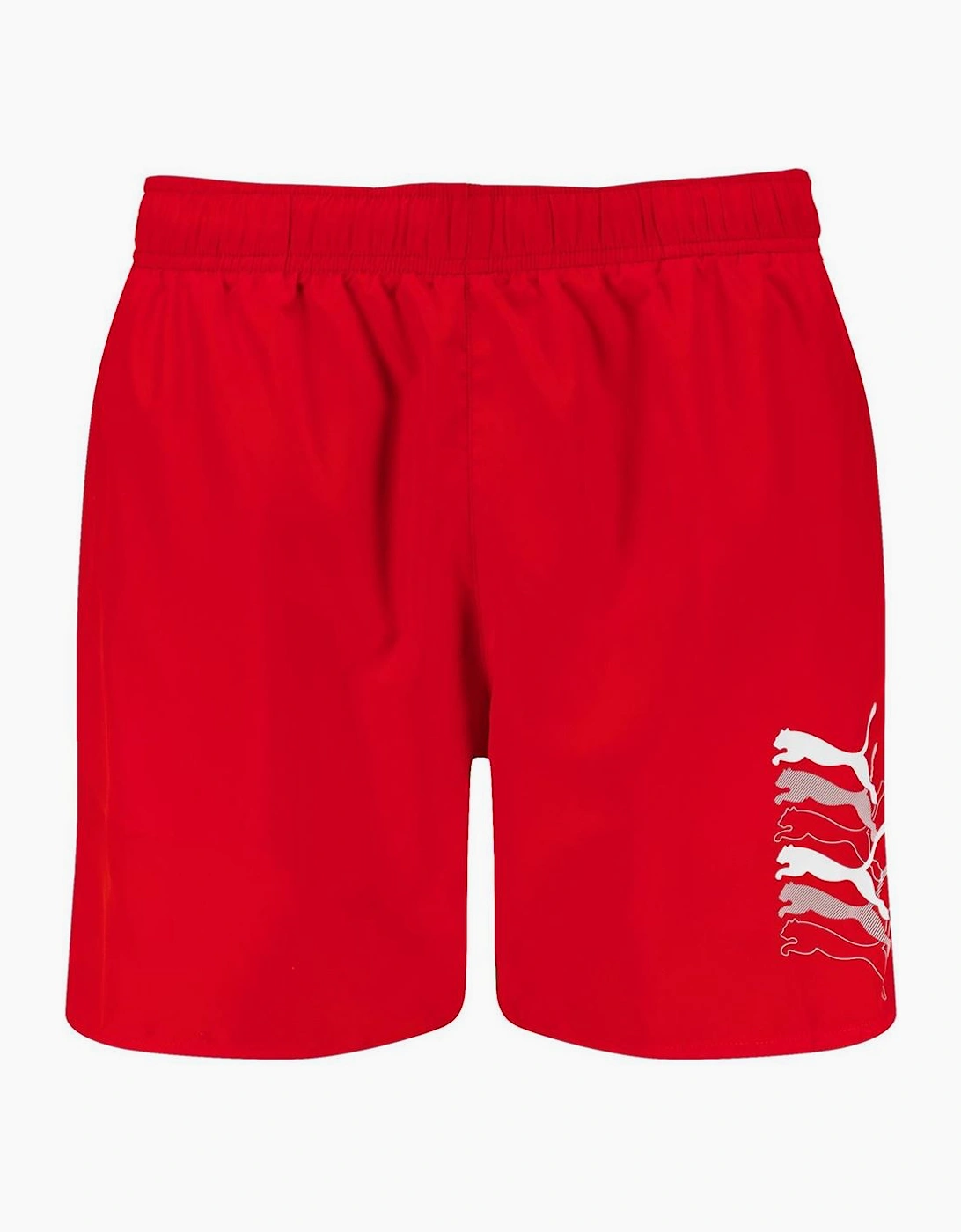 Swim Men Cats M