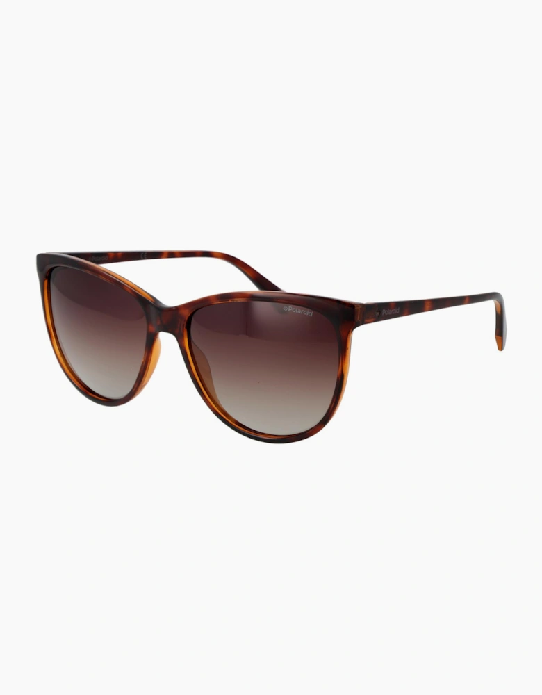 Polaroid Sunglasses PLD 4066/S 086LA 57