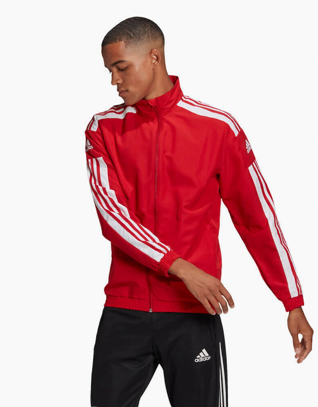 Adidas Men's Squadra 21  Presentation Jacket Red