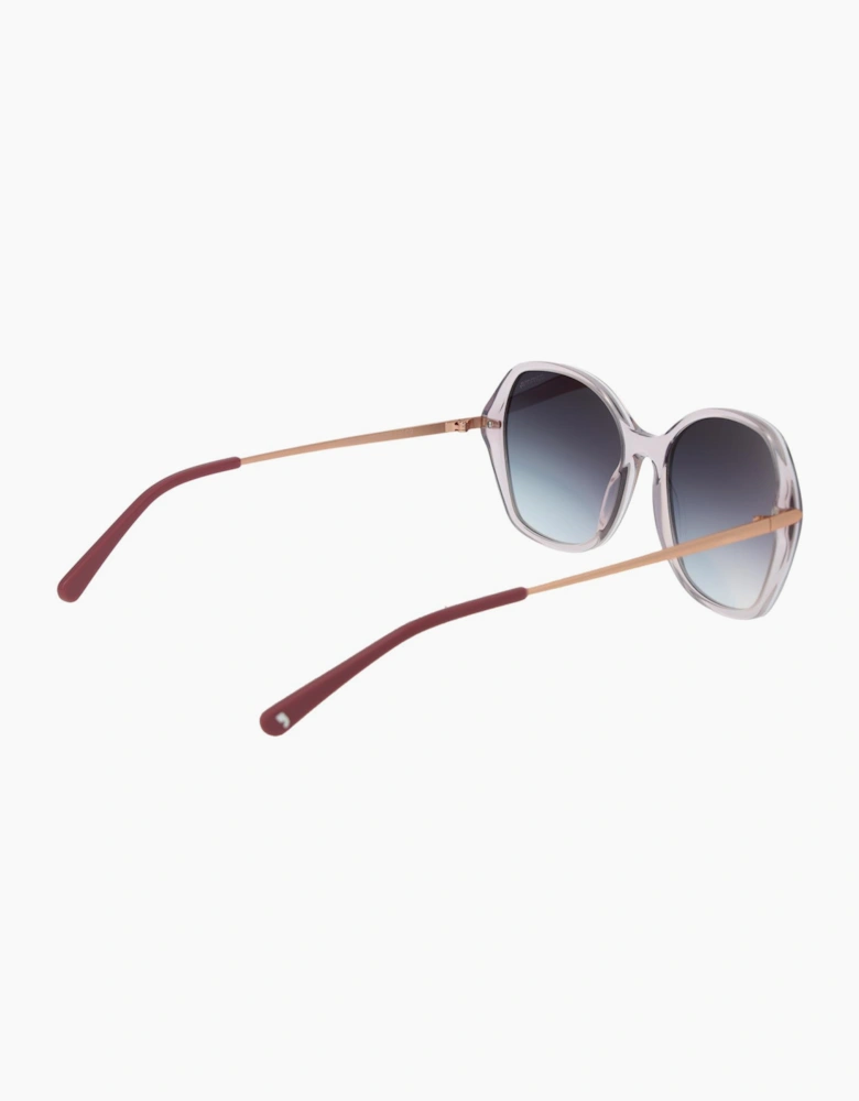 Comma Sunglasses 77206 09 54