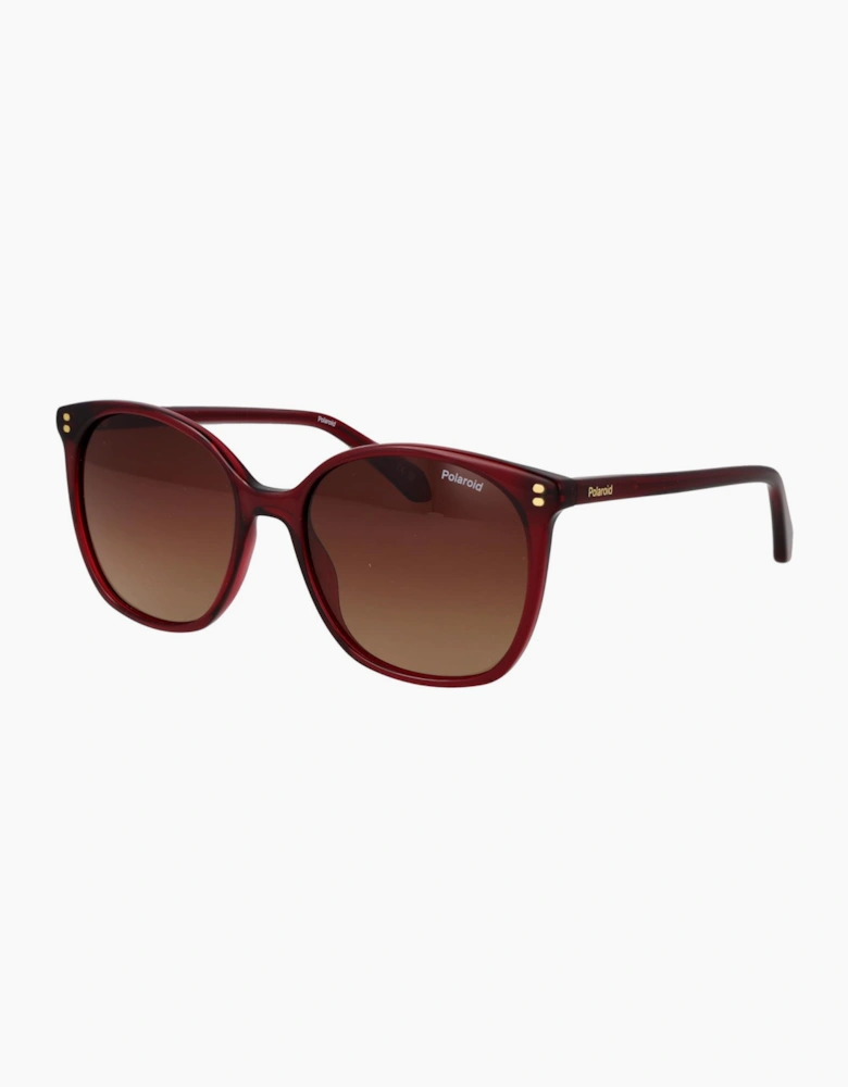 Polaroid Sunglasses PLD 4215/S/X C9ALA 55