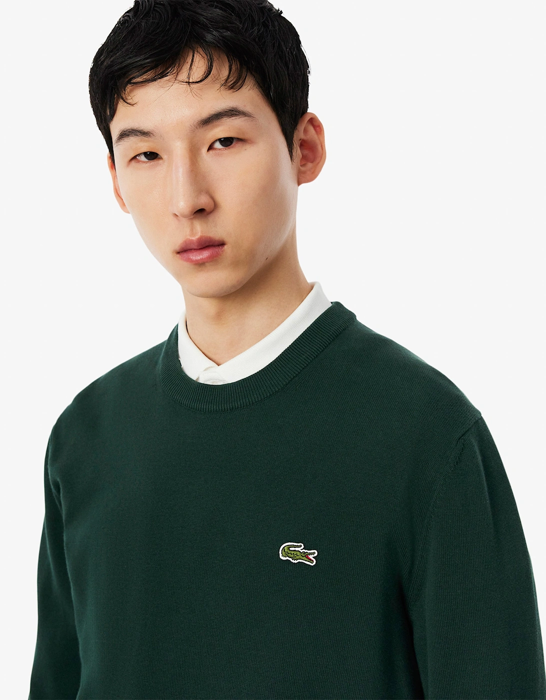 Lacoste Mens Organic Cotton Crew Neck Sweater - Sinople YZP