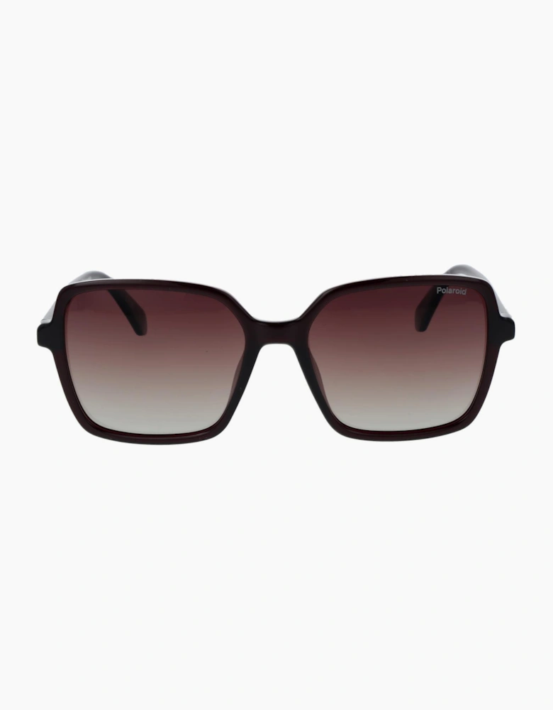 Polaroid Sunglasses PLD 4217/S B3VLA 56