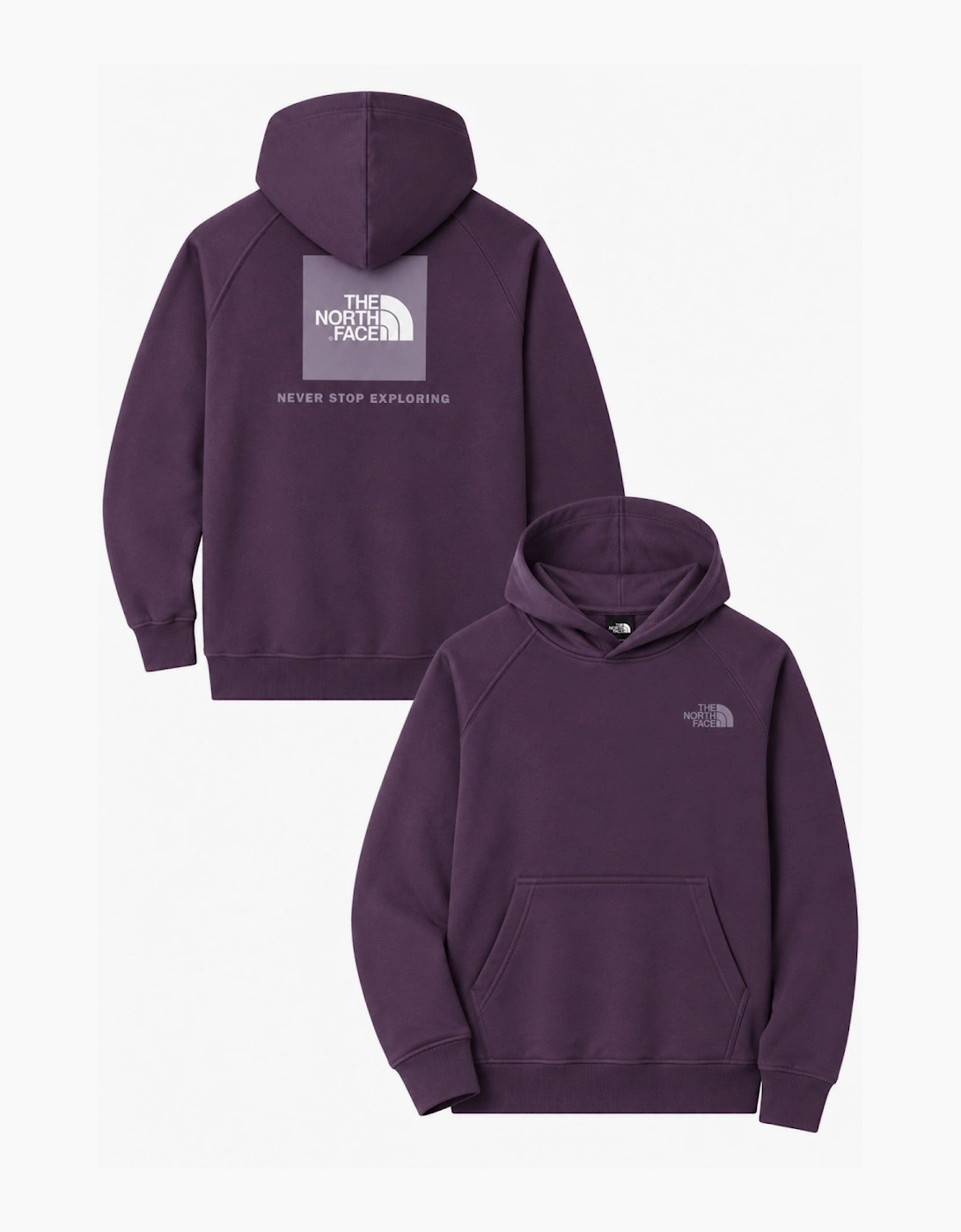 The North Face Mens Raglan Box Graphic NSE Pullover Hoodie in Purple