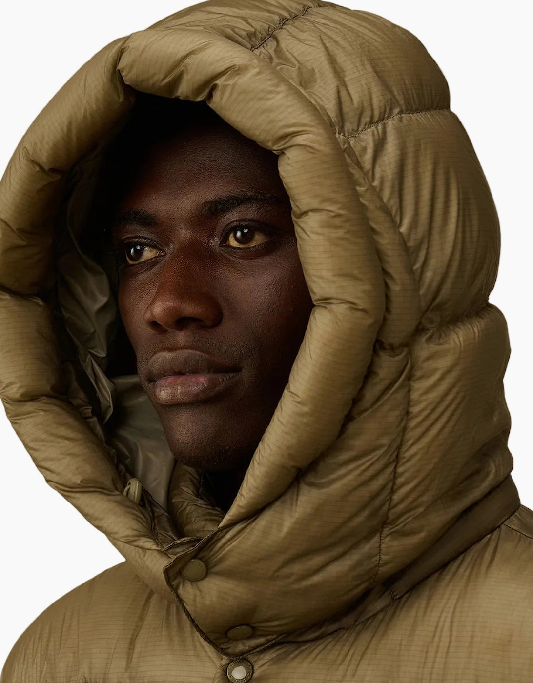 D.D. Shell Hooded Lens Down Jacket