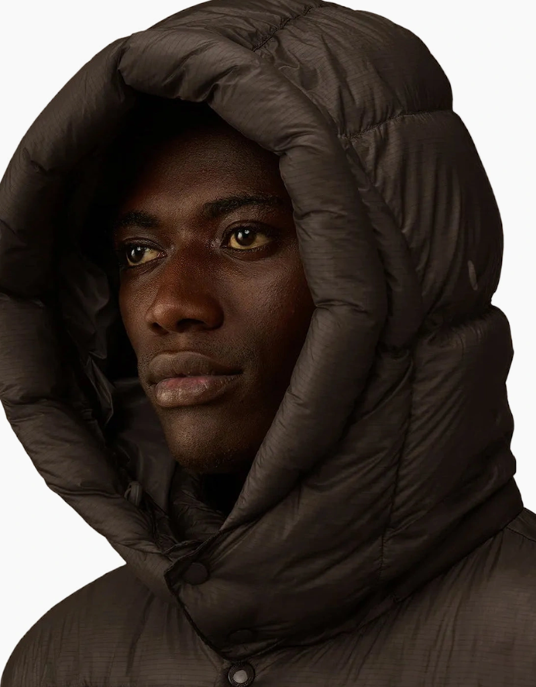 D.D. Shell Hooded Lens Down Jacket